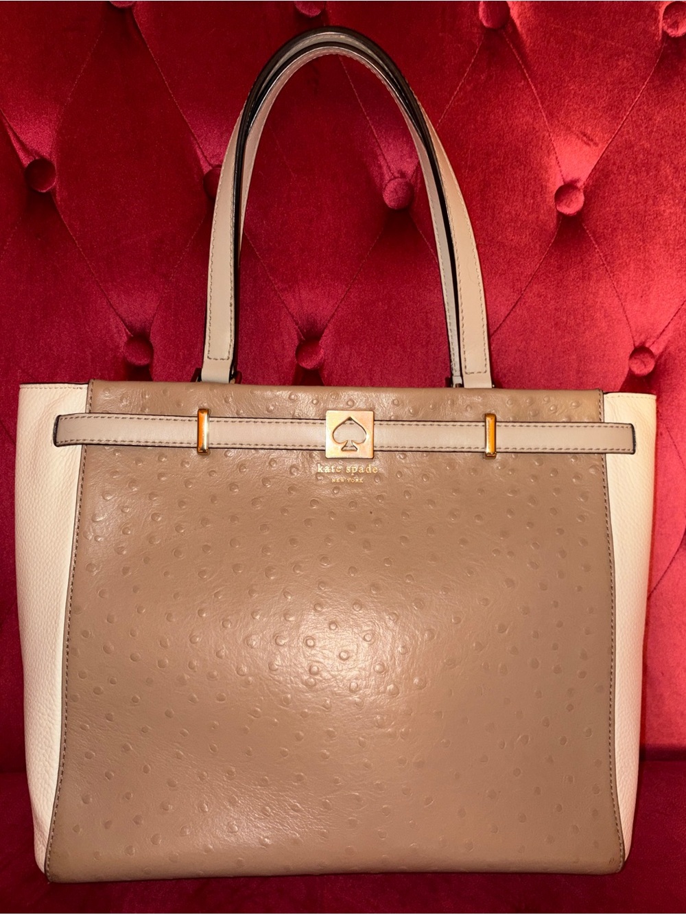 *RARE* Kate Spade New York Houston Street Exotic Demarco Tote in Taupe and Cream